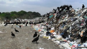 Veracruz es el cuarto estado con mayor generación de residuos sólidos municipales, según datos oficiales de Semarnat