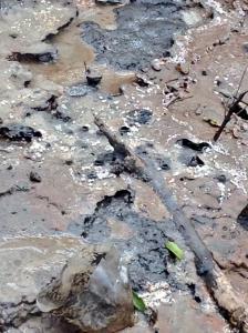 Se trata de una capa salina. aseguran los geólogos de la UNAM