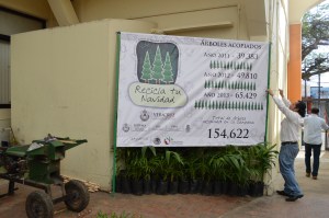 Todas las familias porteñas pueden llevar sus arbolitos navideños naturales a los centros de acopios ubicados en las tres tiendas Chedraui, Parque Independencia, Centro de Educación Ambiental Quetzalli y Cobaev 18, que estarán disponibles hasta el 13 de Febrero de 9:00 horas a 17:00 horas de lunes a sábado. 