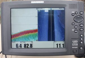 Ecosonda o sonar de barrido lateral, el instrumento que le permitió detectar al manatí