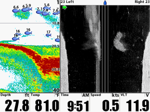proyección de la ecosonda, donde mediante ondas sonoras se identifica en ultrasonido la imagen del manatí presente.