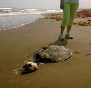 El hallazgo fue alrededor de las 8:30 am, ya presentaba estado avanzado de descomposición,