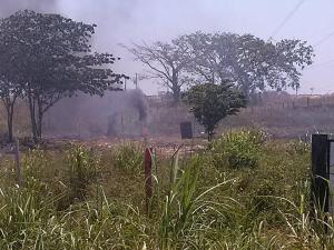 Nuevamente, arden los pantanos en el sur de Veracruz por quema de basura.