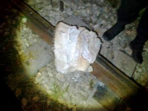 El maquinista reveló fotos donde los indocumentados obstaculizan los rieles para descarrilar el tren.