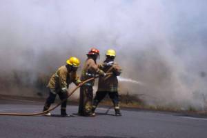 Bomberos de Minatitlán intentando sofocar el fuego, en su etapa más crítica ayer.