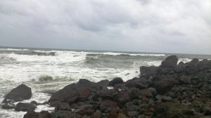 Extraerán 6.7 millones de metros cúbicos de esta roca, para ampliación del puerto de Veracruz, en peligro del ecosistema.