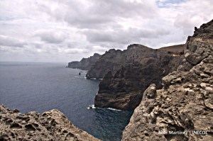 La Isla donde fue hallado el ejemplar nocturno y vivo.