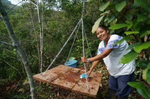 Los biólogos de la UNAM están contentos por los primeros resultados tras la liberación de las guacamayas en Veracruz.