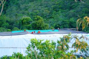 La mayor parte del grupo liberado regresa ya sea en la noche o en el día, al refugio desde donde partieron hace dos semanas.