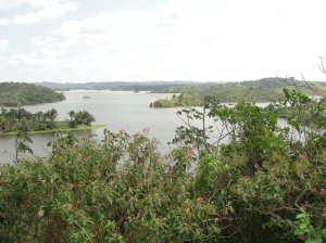 Todos los estudios que realizó la UNAM para el Parque Jaguaroundi los hicieron dentro la selva de Rincón Grande. Al Parque le han dado hasta 30 millones de pesos mientras que a los ejidatarios ni uno solo, asegura el Comisariado Ejidal.
