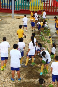 reforestacion-3