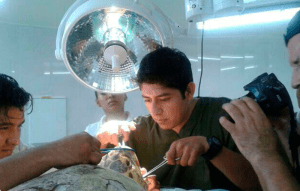 Le desprendieron con éxito el anzuelo.