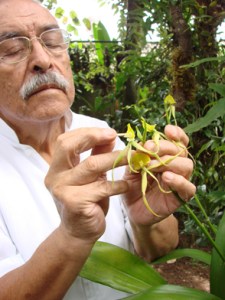 Hace falta más viveros y orquidiarios en el estado.