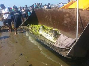 El enorme ejemplar de cocodrilo que fue capturado por la Marina y Protección Civil será puesto a disposición de una UMA.