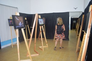 Sus fotos han sido premiadas por la Sociedad de Fotógrafos de América dentro la Loan Collection.