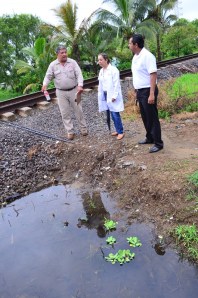 Pretenden abatir el paludismo en Coatzacoalcos.