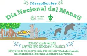 7 de septiembre es día del manatí.