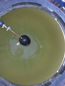 Mostraron un tinaco recién lavado y que ya presenta descomposición del agua; está color verde y apestosa.