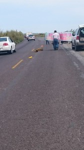 Tapan baches, en protesta.