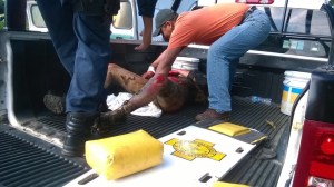 Llegó otra patrulla para recoger a los oficiales heridos.