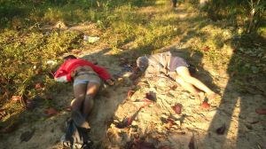 Fueron tirados en un terreno baldío.