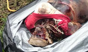 Su rostro estaba desfigurado.