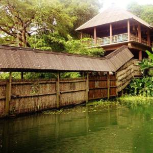 Nanciyaga es una zona de conservación de selvas y parque ecoturístico en el sur de Veracruz.