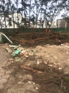 Personal de una compañía contratista concluyó el desmonte.