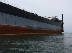 La barcaza BlueBell Panamá llevaba ya varios días a la deriva; hasta que encalló en costas al sur de Veracruz.