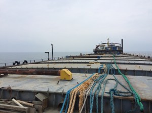 BlueBell Panamá cargaba cemento en sus naves de almacén. Hoy está vacío, encallado en Los Arrecifes, comunidad de Los Tuxtlas.