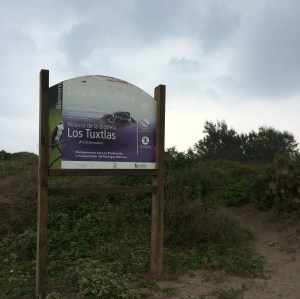 Campamento tortuguero en Arrecifes. 