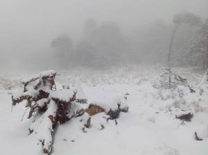 Nevados en los Parques Nacionales de Perote y Orizaba.