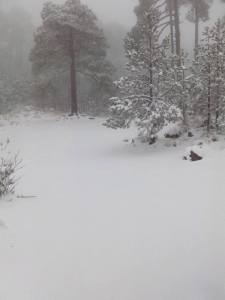 La nevada fue intensa.