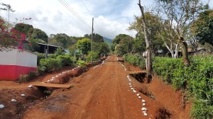 Pretendían reforestar caminos aledaños a los arroyos que alimentan la presa Yuribia.