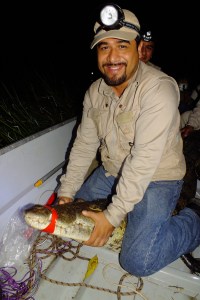 Realizó investigaciones con cocodrilos en los límites de Chiapas; cerca de ríos por Guatemala y Belice.