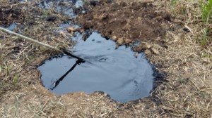 Es de alta densidad el crudo derramado; parece chapo.