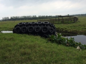 Naufragó desde Houston.