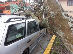Tuvieron que hacer leña el arbol para poder recuperar el vehículo dañado.