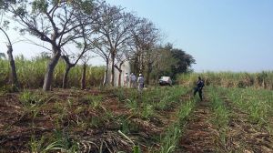 Controlan derrame una vez que los chupa-ductos ya habían robado la gasolina.