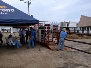 Participan 15 competidores de la región.
