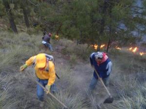 Incendio forestal, es controlado en zona boscosa.