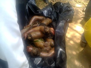 Los cadáveres aparecieron descuartizados.