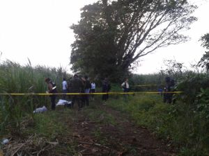 Balacera al sur de Veracruz.