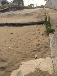 Así les dejaron la avenida.