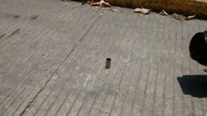 Los casquillos quedaron dispersos.