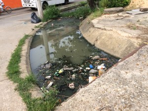 Canales tapados por la basura.