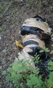 El hallazgo fue casi en el mismo lugar donde se encontraron 3 jóvenes asesinados.