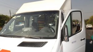 Le dieron un certero disparo.