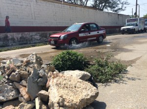 Hasta arbolitos están creciendo de ahí, tras el descuido de CMAS y del Ayuntamiento.