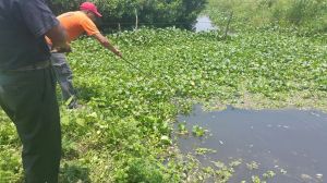 Pescadores de Ojo de Agua en Cosolecaque, denuncian ecocidio (Foto.- Tamara Corro)